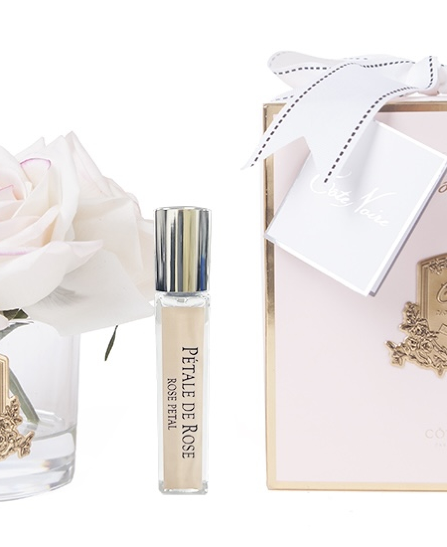 "Côte Noire" - Cinco Rosas Blush Perfumadas
